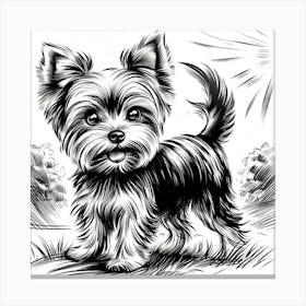 A yorkie dog 3 Canvas Print