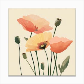 Poppies 60 Canvas Print