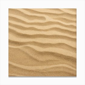 Sand Texture 15 Canvas Print