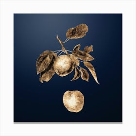 Gold Botanical Apple on Midnight Navy n.3168 Canvas Print