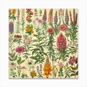 Wildflowers 6 Canvas Print