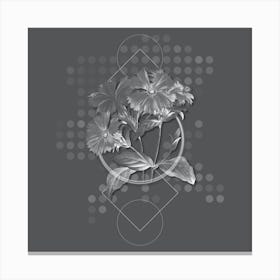 Vintage Lychnis Grandiflora Botanical with Line Motif and Dot Pattern in Ghost Gray n.0374 Canvas Print