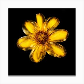 Yellow Flower Canvas Print