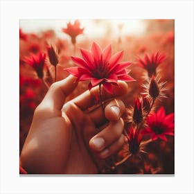 Red Flowers In A Field Canvas Print