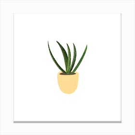 Aloe Vera Canvas Print