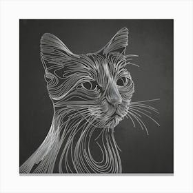 Wire Drawing Of A Cat Canvas Print