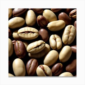 Coffee Beans 252 Canvas Print