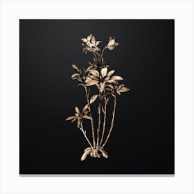 Gold Botanical Lily of the Incas on Wrought Iron Black n.0521 Canvas Print