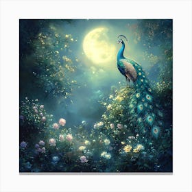 Peacock In The Moonlight Canvas Print