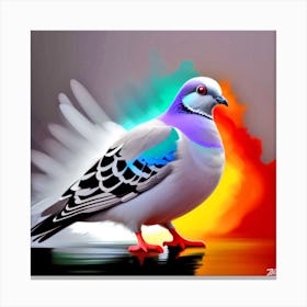 Pigeon 12 Canvas Print