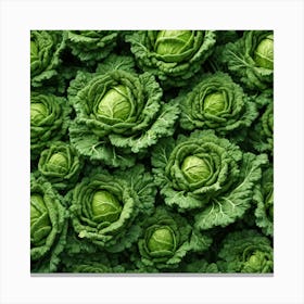 Frame Created From Savoy Cabbage Sprouts On Edges And Nothing In Middle Trending On Artstation Sha (5) Canvas Print