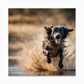 Dog Running In Water Canvas Print
