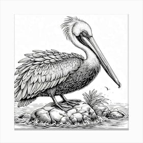 Line Art pelican Canvas Print