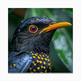 Bird With A Yellow Beak Canvas Print