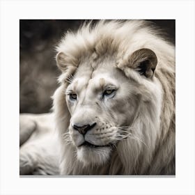 White Lion 2 Canvas Print