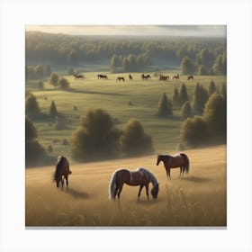 Horses In A Field 29 Canvas Print