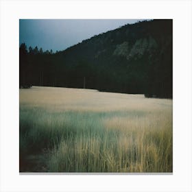 Field Of Grass Canvas Print