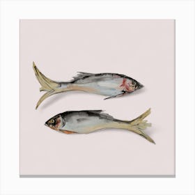 Two Fish Canvas Print