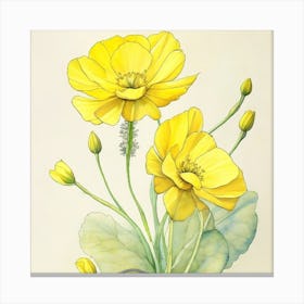 Yellow Poppy Canvas Print