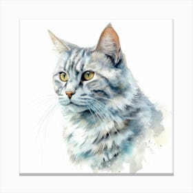 Sokoke Cat Portrait Canvas Print