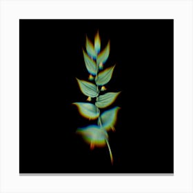 Prism Shift Twistedstalk Botanical Illustration on Black n.0129 Canvas Print