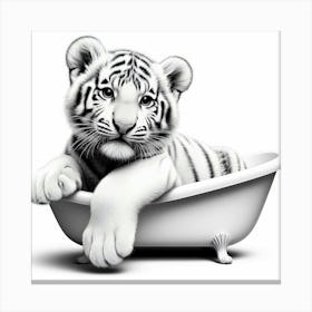 Tiger Cub In Bathtub 1 Canvas Print