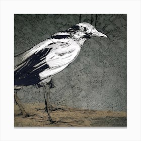 The Bird Canvas Print