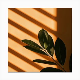 Plant On An Orange Wall Canvas Print