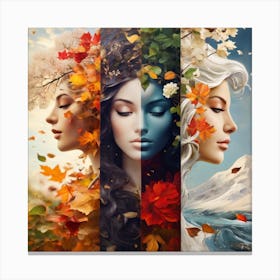 Four Seasons Canvas Print