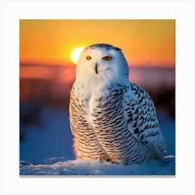 Firefly Majestic Snowy Owl In Serene Winter Sunrise 45875 (2) Canvas Print