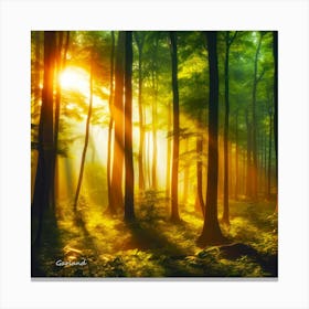 Forest Lights Canvas Print