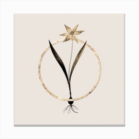 Gold Ring Tulipa Celsiana Glitter Botanical Illustration n.0106 Canvas Print