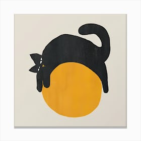 Cat On A Ball Canvas Print