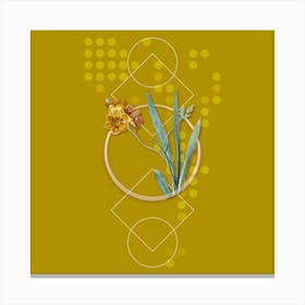 Vintage Ixia Miniata Botanical with Geometric Line Motif and Dot Pattern Canvas Print