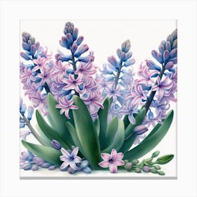 Hyacinths 4 Canvas Print