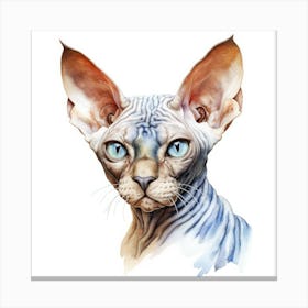 Don Sphynx Blue Eyed Cat Portrait 1 Canvas Print