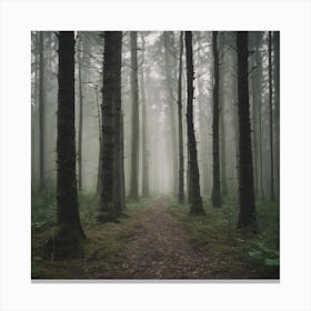 Foggy Forest Path 1 Canvas Print