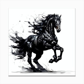 Black Horse Canvas Print