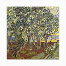 Van Gogh 33 Canvas Print