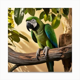 Parrot Perched On A Branch Canvas Print