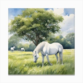 White Horses In The Meadow Canvas Print