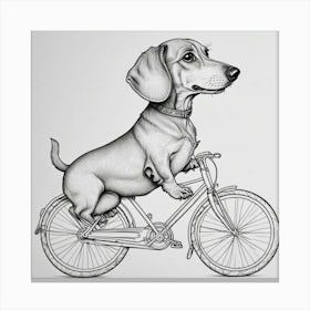 Dachshund On A Bicycle 1 Canvas Print