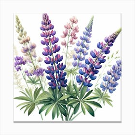 Flower of Lupine 3 Canvas Print