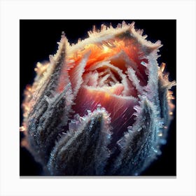 Frosty Flower Canvas Print