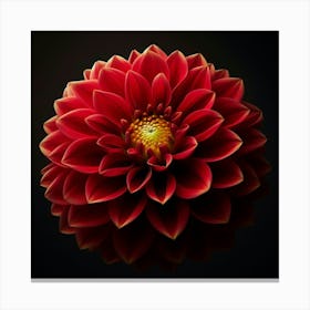 Dahlia 1 Canvas Print