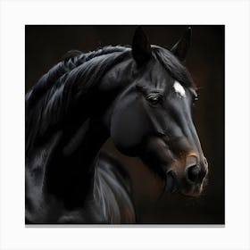 Black Horse 3 Canvas Print