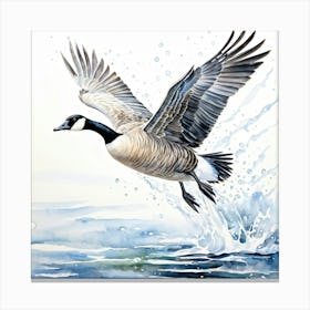 Canada Goose In Flight 1 Canvas Print