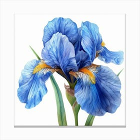 Blue Iris Leinwandbild