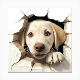 Dog Peeking Through A Hole 2 Canvas Print