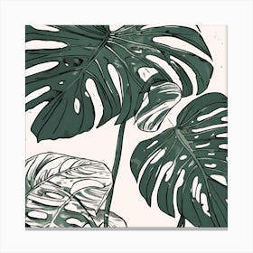 Monstera Leaves Canvas Print